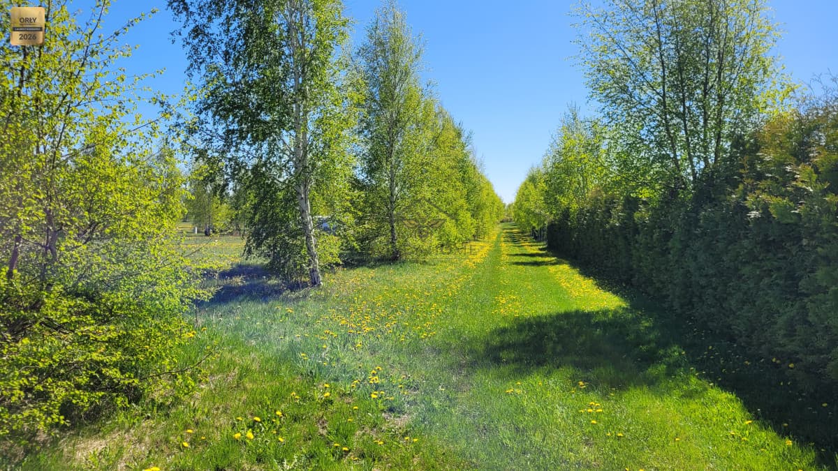 Działki kampingowe w Chłapowie | Dolina Chłapowska — zdjęcie 5